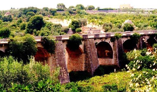 PONTE LAMA A BISCEGLIE (BAT) UBICAZIONE E CARATTERISTICHE GEOMETRICHE Il ponte si erge a ridosso del centro abitato di Bisceglie (BAT) sulla Lama Paterno (valle di origine fluviale creatasi a causa