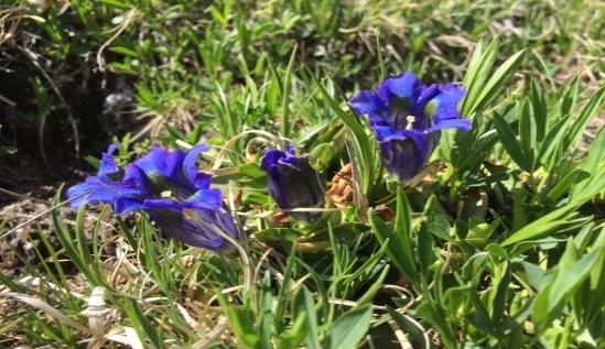 Primavera in montagna Concedetevi una pausa dallo