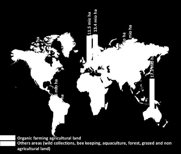 Negli anni ottanta, l agricoltura biologica si è affermata in molti paesi europei, negli Stati Uniti, in Canada, in Australia e in Giappone.