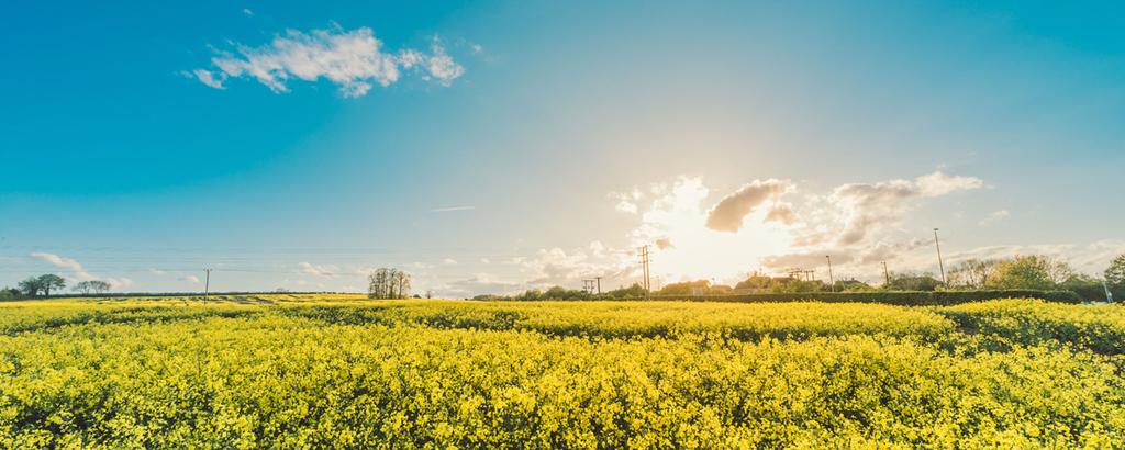 GRAZIE PER L ATTENZIONE Rete Rurale Nazionale Autorità di gestione: Ministero delle politiche agricole alimentari e forestali Via XX Settembre, 20