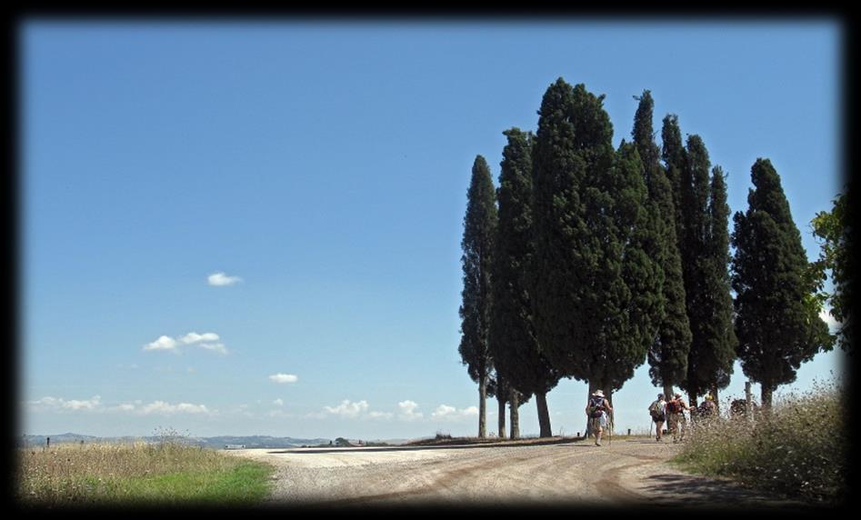 Nel cammino della vita, a ogni cosa il suo momento 1 Nella vita dell'uomo, per ogni cosa c'è il suo momento, per tutto c'è un'occasione opportuna.