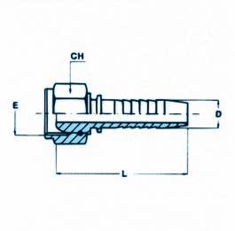 CODICE E D L CH F58-10-3/16 10x1 3/16 44 14 F58-10-1/4 10x1 1/4 44 17 F58-12-3/16 12x1,5 3/16 45 17 F58-12-1/4 12x1,5 1/4 47 17 F58-14-3/16 14x1,5 3/16 45 19 F58-14-1/4 14x1,5 1/4 46 19 F58-14-5/16