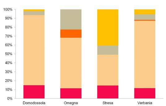 Rispetto agli altri 4 SUAP a Stresa risulta maggiore, invece, il peso dei servizi e del turismo (rispettivamente il 13 e il 10% del totale).