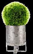 99 Green paradise ZINC Vaso per piante Ferro H.18 cm - Ø 13 cm, H.