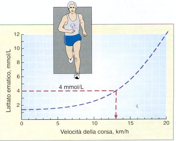 La SOGLIA AEROBICA è il valore minimo dell'intervallo di velocità alla quale vi è costanza di valori di lattato nel sangue per alcune decine di minuti.