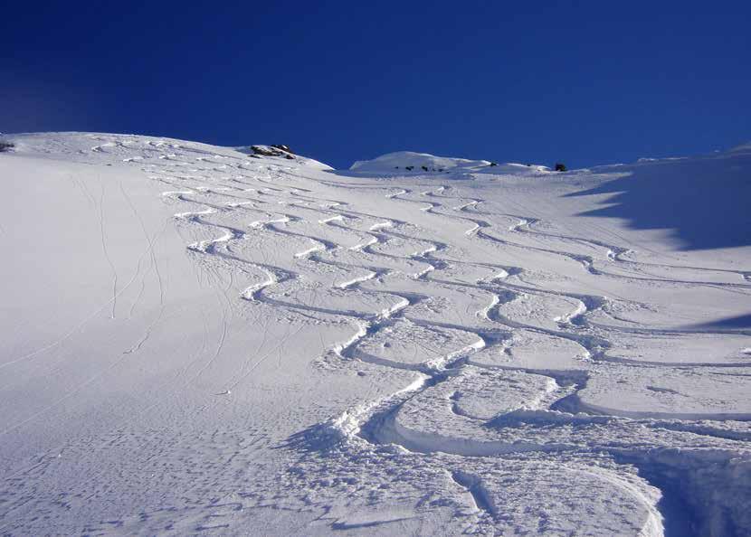 Fin da piccolo ognuno ha provato l ebrezza di slittare leggero sulla neve.