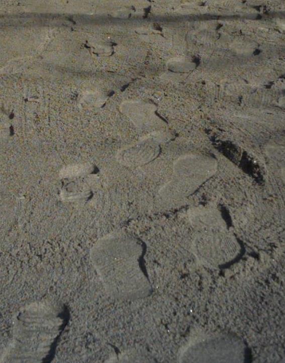 Quando un beduino cammina nel deserto lascia i buchi sulla sabbia e vedi la