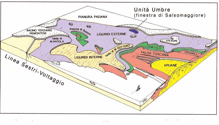 5 Fig. 4. Schema della sovrapposizione tettonica delle principali unità presenti nell Appennino Settentrionale. caratterizzato dalla Formazione Marnoso-arenacea (Miocene medio) (Fig. 3).