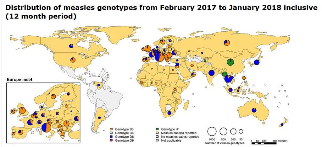 Distribuzione dei genotipi di morbillo nel mondo Fonte: MeaNS