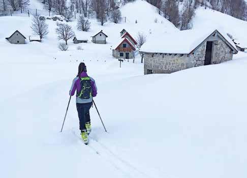 domenica 24 febbraio 2019 GUSTO INVERNALE DELLA RISERVA Nei dintorni di Dordolla sulle tracce di una pietanza tipica della Val Alba: Il Brovadâr. Prenotazione: entro le ore 13.