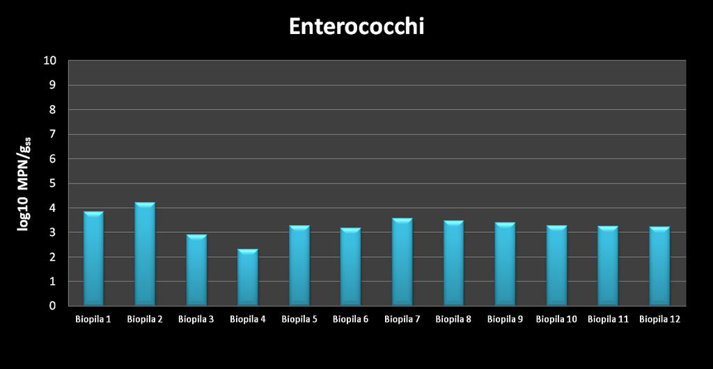 Risultati Enterococchi Concentrazioni di Enterococchi in campioni dopo trattamento in biopila concentrazioni medie finali, dopo