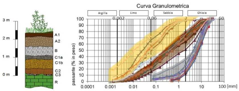 grossolana, per quanto riguarda gli strati A e B, mentre i terreni C sono caratterizzati da granulometria più fine. Fig.1-Stratigrafia (a cura del prof. Antonio Santo), Curva granulometrica.