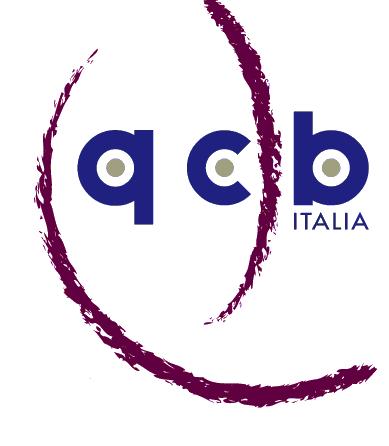 QUALITY CERTIFICATION BUREAU ITALIA Certificato di conformità alla norma ISO 9001:2008 n. Q-0732 0732-13 Rilasciato a GEOTEC S.R.L. codice fiscale: 07910800635 Sede Legale: Via Consalvo, 169 Is.