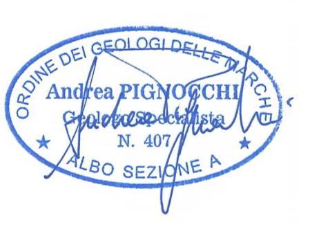 Dott. Geol. Andrea PIGNOCCHI 7.
