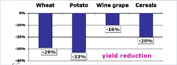 l armonizzazione delle norme relative all immissione sul mercato dei prodotti fitosanitari, stimolando nel contempo la produzione agricola. 4.