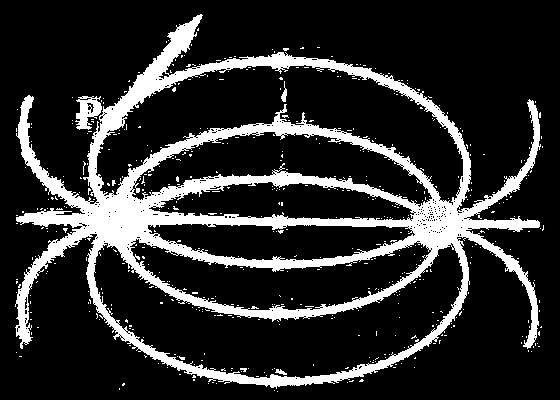 Campo elettrico LINEE DI FORZA DI UN CAMPO ELETTRICO e DIPOLO ELETTRICO Il numero di linee che emergono da una carica positiva o che terminano su una carica negativa è proporzionale al valore della