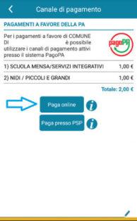 Comparirà il riepilogo delle ricariche che si vuole effettuare: cliccare in basso sul pulsante Paga On Line. (fig.