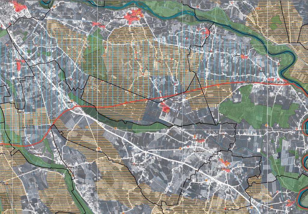 Le informazioni relative alla flora nel comune di Palù, come del resto in tutto il territorio provinciale, sono piuttosto carenti, manca infatti un atlante floristico sia a livello provinciale che a