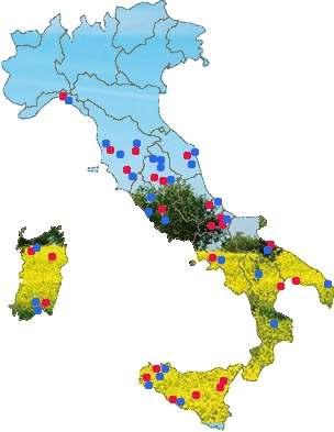 Campagna Europea di sensibilizzazione CONSULTAZIONI E MEETING TEMI AFFRONTATI