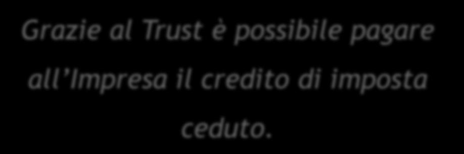 Il Trust Il Trust costituisce un importante presidio per gli Investitori/Finanziatori che forniscono la liquidità