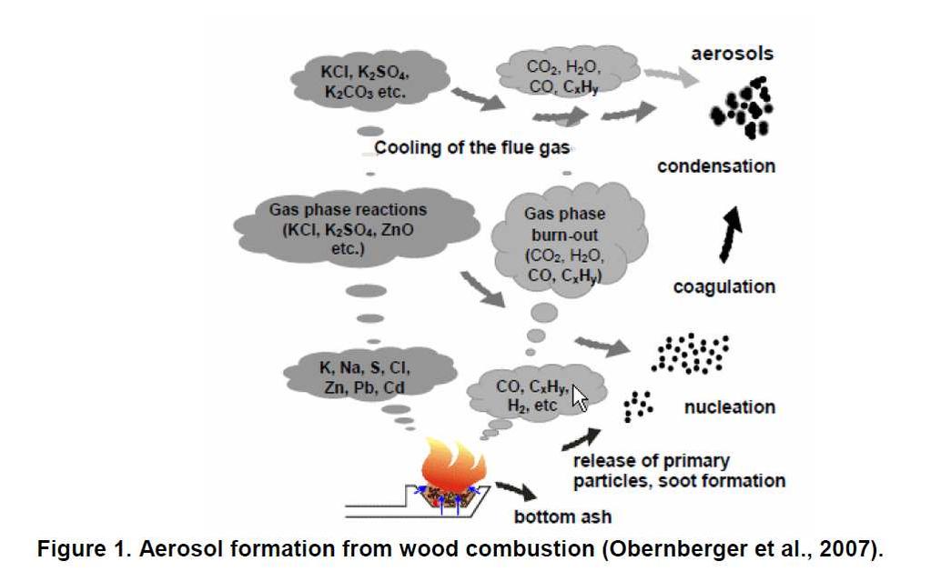 IPA idrocarburi policiclici aromatici Gli IPA presenti in aria ambiente si originano da tutti i processi che comportano la combustione incompleta e/o la pirolisi di materiali organici.