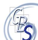 IL MODELLO GBS Il GBS (Gruppo di Studio per la statuizione dei principi di redazione del Bilancio Sociale), formato da studiosi e professionisti provenienti dal mondo accademico e