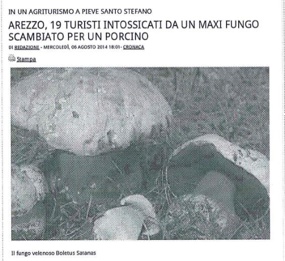 7 - Luogo di consumo dei funghi (N=695) 1 caso: consumo di funghi regalati ad un Centro Sociale per anziani; i funghi sono stati consumati fritti e dopo una media di 2 ore (30-4 ore) 5 persone hanno