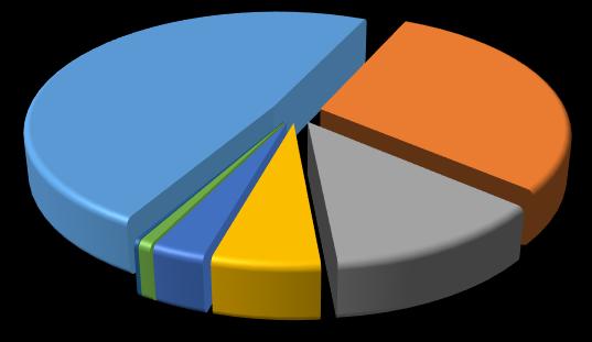 Le notizie relative alle modalità di cottura dei funghi consumati sono disponibili per 408 episodi (58,7%) Di questi episodi la maggior parte sono dovute a consumo di funghi cotti in padella