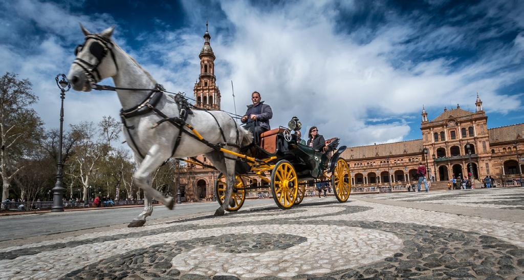 Settimo giorno : SIVIGLIA in albergo Intera giornata dedicata alla visita di questa meravigliosa città che ha tantissimo da offrire: La Giralda, la Torre dell Oro, La