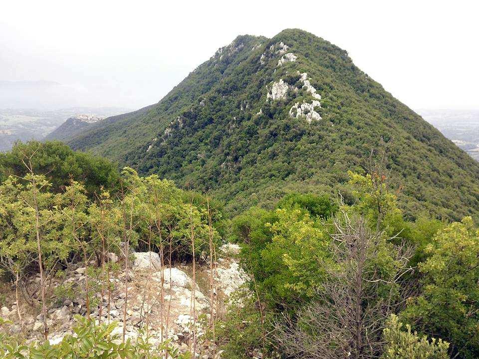 FUORI E DENTRO IL SORATTE MATTINA La Riserva Naturale del Monte Soratte L area protetta custodisce un esuberante biodiversità e dalla sommità si può ammirare un vasto panorama sul territorio