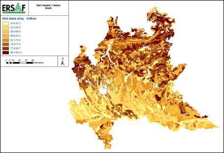 Uso dei suoli ed effetti sull ambiente Suoli agricoli e foreste: due