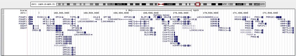 UCSC genome browser chr1:167.314.603-171.791.166 La delezione coinvolge circa 40 geni.