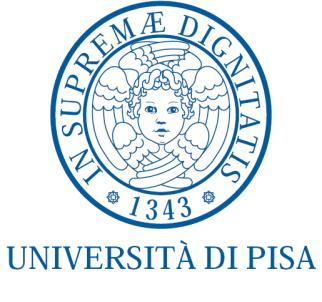 UNIVERSITÀ DEGLI STUDI DI PISA FACOLTÀ DI INGEGNERIA Dipartimento Ingegneria Civile Industriale Corso