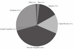 Grafico 7 Distribuzione percentuale delle specie per numero di frammenti. Grafico 8 Distribuzione percentuale dei mammiferi per NMI. Tab. 4 Tab.