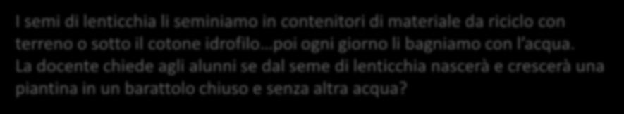 cotone idrofilo poi ogni giorno li bagniamo con l