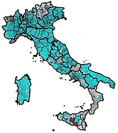 Operatori per tipologia di azionariato La gestione del SII in Italia Assetto coerente con esiti del Referendum 2011: libertà di