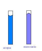 Adesione = forze di interazione tra il liquido e le pareti del recipiente Coesione = forze di interazione tra le