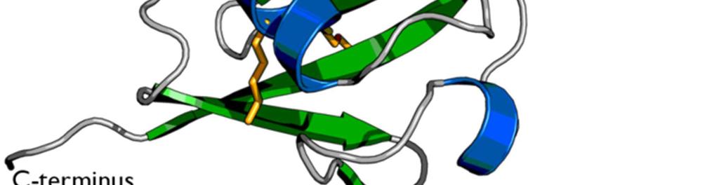 substrate proteins