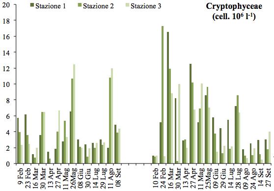10 6 cell. l -1, mentre il massimo assoluto è attribuibile alla sola stazione 2 il 24 febbraio 2011 (17 x 10 6 cell. l -1 ).