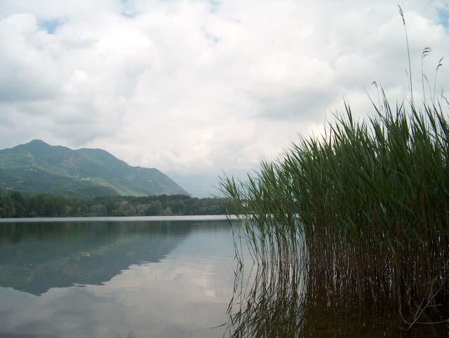 Contratto di Lago del Bacino dei Laghi di Avigliana