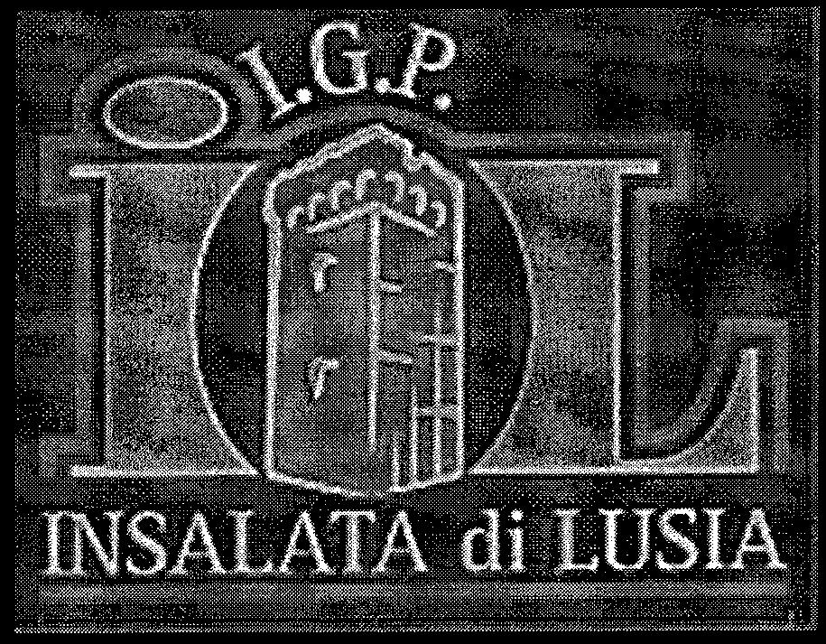 La particolarità gustativa dell insalata di Lusia è la percettibile sapidità che ne rende superfluo il condimento con il sale e che è dovuta alla presenza nei terreni di abbondanti sali minerali.