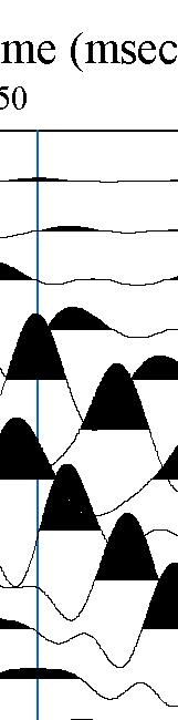 Figura 6: TRACCE SISMICHE