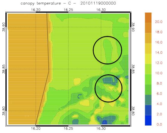 Figura 10: temperatura in superficie (della chioma della vegetazione) simulata da modello C-RAMS per le 00 UTC del 19 Novembre 2010.