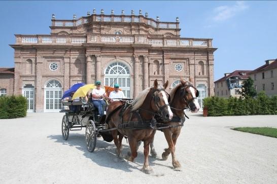 9 Le attrazioni nei Giardini della Reggia: lo spettacolo del Teatro d Acqua della Fontana del Cervo