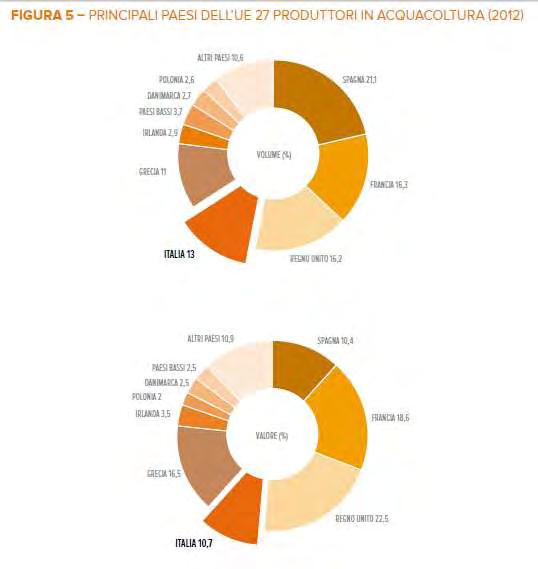 Scenari di produzione in Italia e nel mondo IN EUROPA Le principali specie allevate sono queste 5 Realizzano un valore di 4 miliardi di euro proveniente per il 70% dai pesci e per il 30% da molluschi