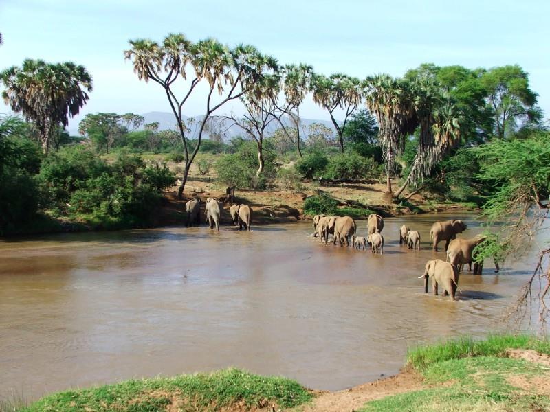 LA RISERVA DI SAMBURU La Riserva di Samburu si trova nella provincia della Rift Valley a circa 350 km da Nairobi a 90 km a nord del Monte Kenya e copre un area di circa 165 kmq ad un altitudine