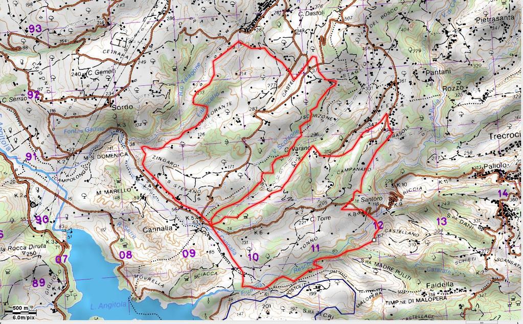 4) Che nell area a prelievo selettivo di Francavilla Angitola Fellà identificata dalla cartografia allegata possano accedere i seguenti cacciatori selecontrollori in possesso di idonea abilitazione