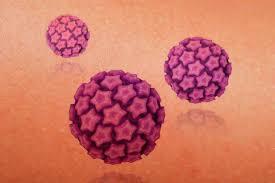HPV - tipo 16 e 18 è responsabile in circa il 70% dei carcinomi - il restante 30% è dovuto ai