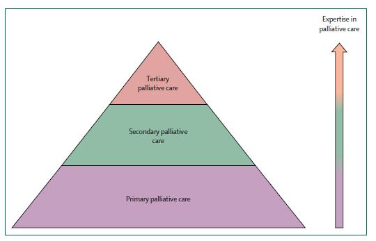 Conceptual model of palliative care delivery based on