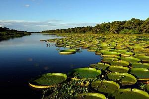 WILDLIFE AND NATURE ECO LUXURY 9 giorni a partire da 7980pp Luxury, eco e green: esperienza di viaggio nella Mesopotamia Argentina con Iguazu (Argentina/Brasile)!